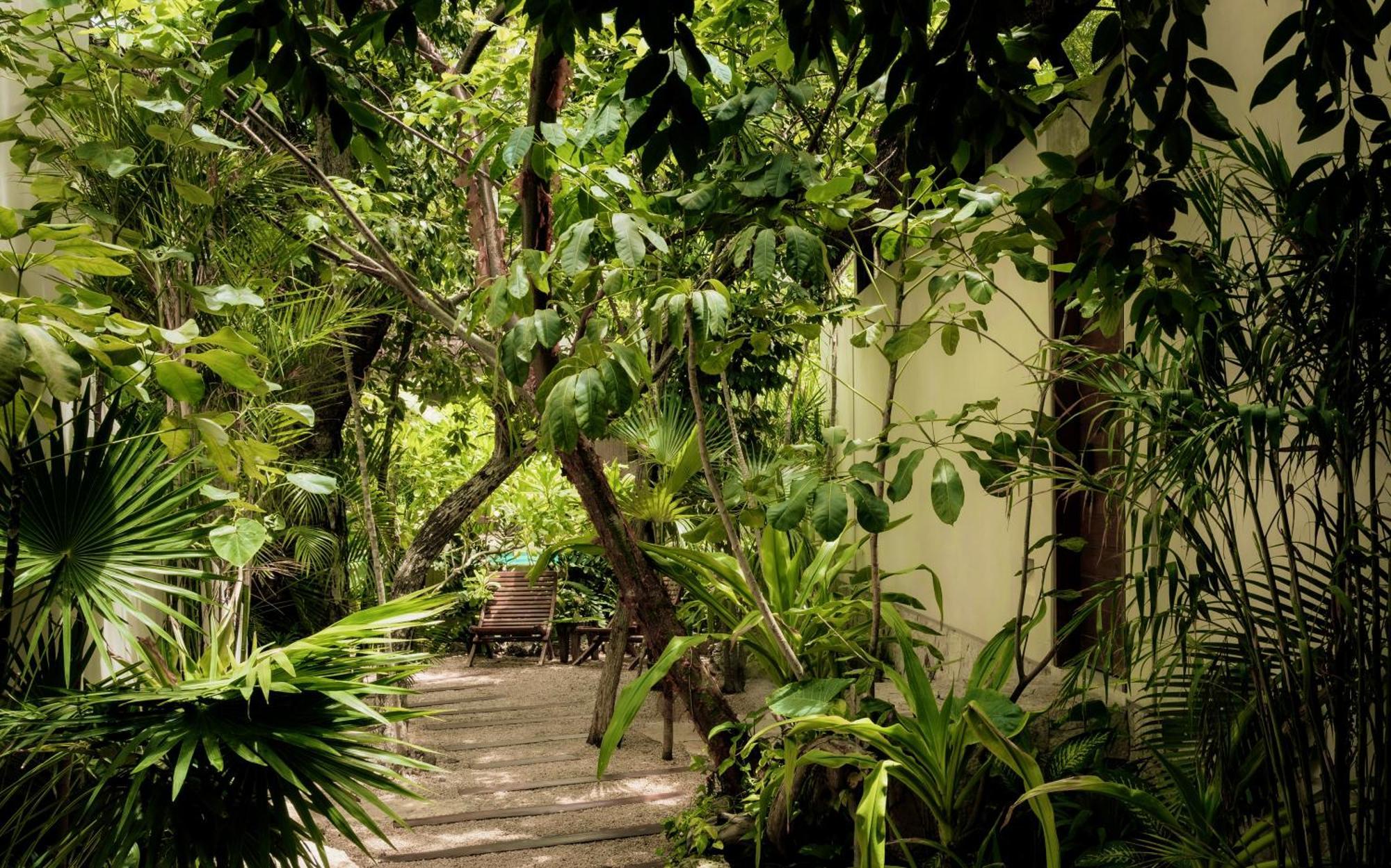 Jungle Keva Tulum Villa Lodges & Venue מראה חיצוני תמונה